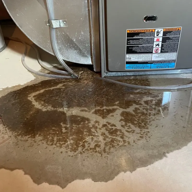 Pipe Burst and Leak Restoration in Woodbury, NY